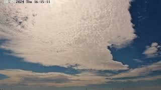 Poole Harbour Osprey Nest Camera  video of 3 ospreys in the sky thought to be CJ7 022 and 374 [upl. by Aloise]