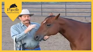 Parelli Natural Horse Training Tip Approaching a Horse in a Corral [upl. by Ruthven]