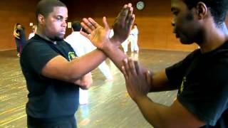 Wing Chun Chi Sao  Double Arm Cross Arm [upl. by Hoi505]