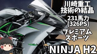 【生産終了車】既に1000万円クラスの価値、400kmhを達成した川崎重工の技術の集合体「NINJAH2」【ゆっくり解説】 [upl. by Aynam]