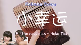 小幸运  Hebe Tien A little happiness Kalimba Cover by ChubbyNatty [upl. by Llebanna]