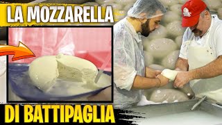 Nel Cuore della Mozzarella di latte di Bufala  le Assaggio TUTTE La Zizzona di Battipaglia [upl. by Kcireddor]