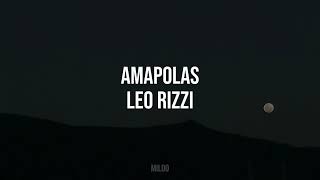 Amapolas  Leo Rizzi Letra [upl. by Eizdnil]