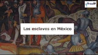 La Esclavitud en México  El Tumbaburros [upl. by Ettenrahs521]