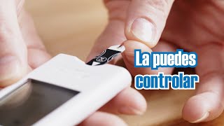 Este 14 de noviembre Día Mundial de la Diabetes [upl. by Chandos]