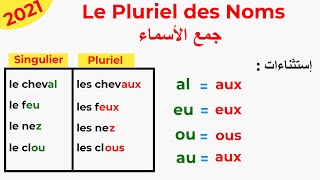 Le Pluriel des noms شرح جمع الأسماء في اللغة الفرنسية [upl. by Sirah]