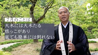 塩沼亮潤大阿闍梨・７月【大木には大木たる根っこがあり 嵐でも簡単には倒れない】 [upl. by Anialam]