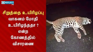 சிறுத்தை உயிரிழப்பு வாகனம் மோதி உயிரிழந்ததா என்ற‌ கோணத்தில் விசாரணை siruthai sathyamangalam news [upl. by Evy]