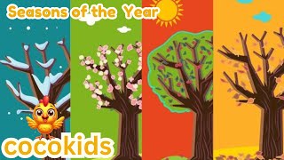 🔴Four Seasons of the Year Song  Cocokidsch nursery rhymes and kids songs [upl. by Mannos]