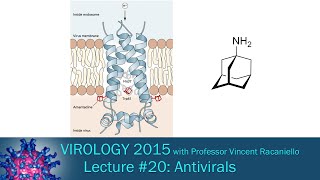 Virology 2015 Lecture 20 Antivirals [upl. by Dnilazor]