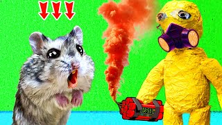 New Hamster Escape Challenge Hamster Destroys Radioactive Substance by Sun Hamster [upl. by Abran925]