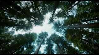 The Tree Of Life  trailer B 2011 Brad Pitt Sean Penn [upl. by Eiramoj]