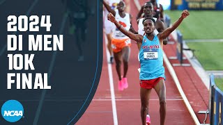 Mens 10K finals  2024 NCAA outdoor track and field championships [upl. by Erialb]