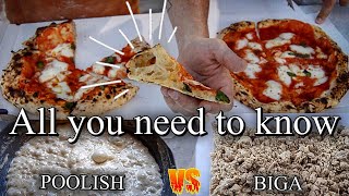 Everything you need to know 100 POOLISH vs BIGA ⎮Full Dough Recipes [upl. by Almat]