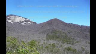 Recovery after the Pinnacle Mountain Fire [upl. by Paik100]