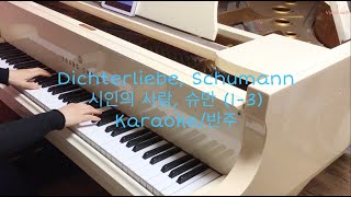 Dichterliebe Schumann시인의 사랑 슈만 Op48 13 Karaoke Accompaniment 반주 [upl. by Block]