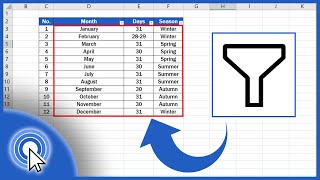 How to Create Filter in Excel [upl. by Anazus929]