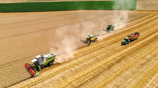 Moisson des froments a 3 machines Claas Lexion 760New Holland CR9060John Deere 9780i CTS [upl. by Anitsrhc708]