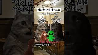 방탈출카페 데이트 특 ㅋㅋㅋㅋ고양이 cat 커플 funny cute [upl. by Fahey579]