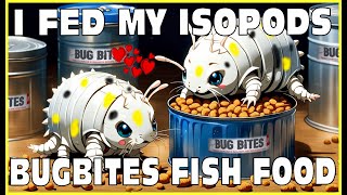 Isopods Eat Bug Bites Fish Food In Isopod House Terrarium 4K [upl. by Maura]