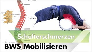 Brustwirbelsäule Mobilisieren  Schulterschmerzen amp Impingement Masterplan 2 [upl. by Murry]