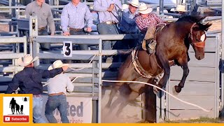 Bronc Riding 🐴 2023 West Texas Ranch Rodeo  Friday [upl. by Anjanette665]