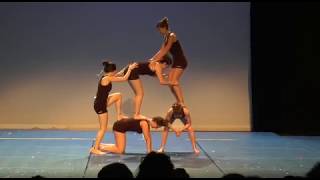 Acro UNSS Yonne 2017 41Iron par le collège Paul BERT [upl. by Letsyrk]