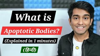 Learn What are Apoptotic Bodies The Cell Fragments in Programmed Cell Death in Biology [upl. by Nida]