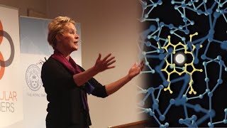 Frances Arnold New enzymes by evolution [upl. by Honniball153]