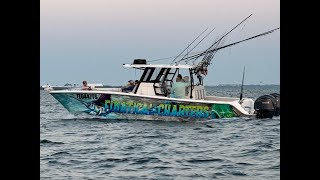 Destin Charter fishing sharks  red snapper  African pompano  Invincible 33 catamaran [upl. by Ardolino931]