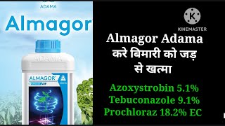 Almagor fungicide Adama agriculture Azoxystrobin 51 Tebuconazole 91Prochloraz 182 Ec [upl. by Chryste]