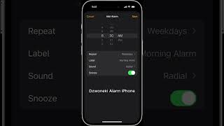 Alarm iPhone Dzwonek na Telefon za Darmo  Dzwonkitel [upl. by Courtenay74]