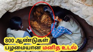 கட்டப்பட்டிருந்த நிலைமையில் கண்டுபிடிக்கப்பட்டுள்ளது  800 Years Old Mummy in Tamil  Parallel Info [upl. by Edmea753]