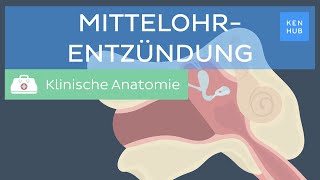 Mittelohrentzündung Ursachen Symptome Behandlung  Kenhub [upl. by Ylyl319]