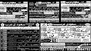 18th November 2024 Latest Jobs amp Visa Updates  Pakistani Newspaper Ads Highlights [upl. by Wildermuth]