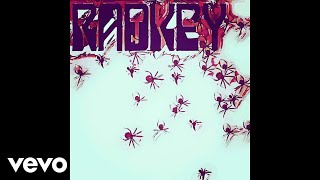 Radkey  Spiders Audio [upl. by Bethezel]