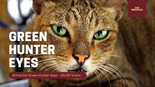 Green Hunter Eyes amp 2020 Vision  Powerful Subliminal [upl. by Lenrow]