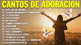 PODEROSAS CANCIONES CRISTIANAS PARA LIBERAR TU MENTE Y EL CORAZÓN 🕊️🕊️ SUPE QUE ME AMABAS 🙏🙏 [upl. by Bevin]