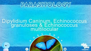 L3dipylidium caninum echinococcus granulosus echinococcus multilocularis parasitology [upl. by Badr789]