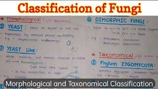 Classification of Fungi  General Microbiology [upl. by Araht793]