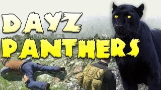 DayZ Panthers  Hive Heroes Episode Five [upl. by Noiroc]