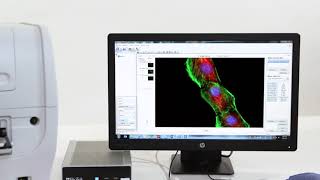 Agilent BioTek Cytation 1 Cell Imaging Multimode Reader [upl. by Lomax]