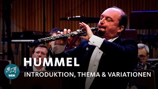 Hummel  Introduktion Thema und Variationen  François Leleux  WDR Sinfonieorchester [upl. by Arondel]