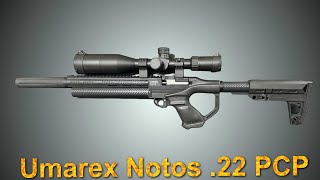 Umarex Notos Review and Testing [upl. by Gaves971]