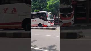 Melaju cepat PO Raya dgn Hino RK [upl. by Verbenia]