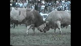 Bullfighting KORIDA NAJBOLJE BORBE 2004 PART 2 [upl. by Attelliw]