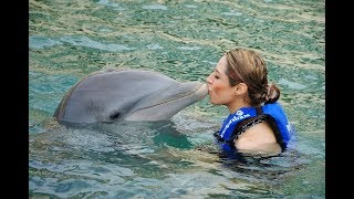 Adriana Macías Nado con Delfines  Delphinus Cancún 2012 [upl. by Cheryl526]