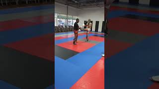 Sweep from a push kick [upl. by Ranitta]