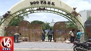 GHMC To Launch Dog Park In Kondapur Hyderabad  V6 News [upl. by Artkele517]