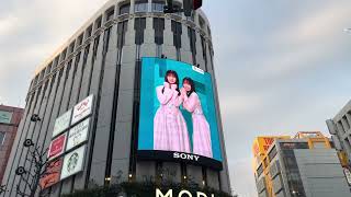 ソニー損保の自動車保険CM （日向坂46 小坂菜緒 上村ひなの）ソニービジョン渋谷￼ [upl. by Ellicul]